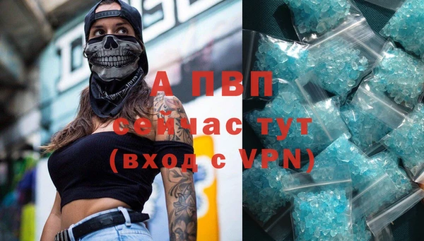 Альфа ПВП Каменногорск