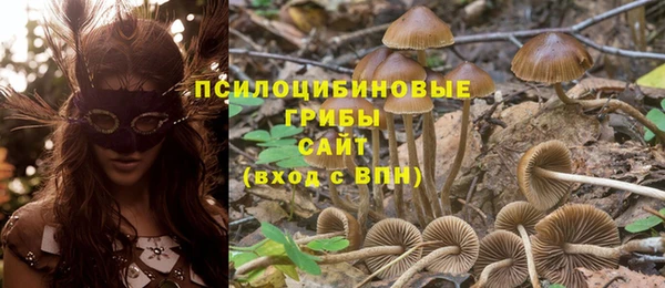 Альфа ПВП Каменногорск